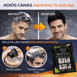 Nuevo Champú Dexe Restaurador Natural Rápido