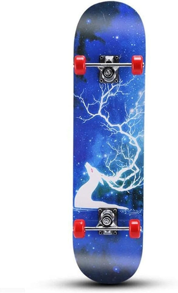 Nueva Patineta estable: aprende sin miedo.