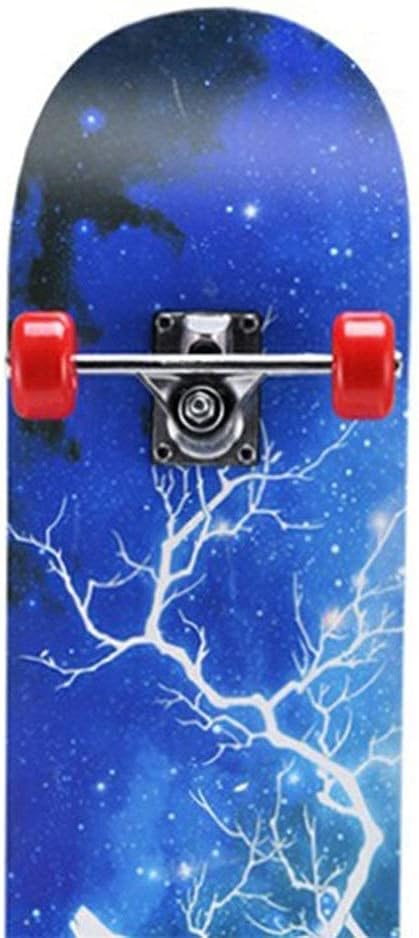 Nueva Patineta estable: aprende sin miedo.