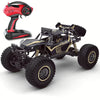Carro 4WD para todo terreno.