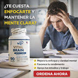 Nuevo Vital Brain – Claridad Mental y Enfoque Total