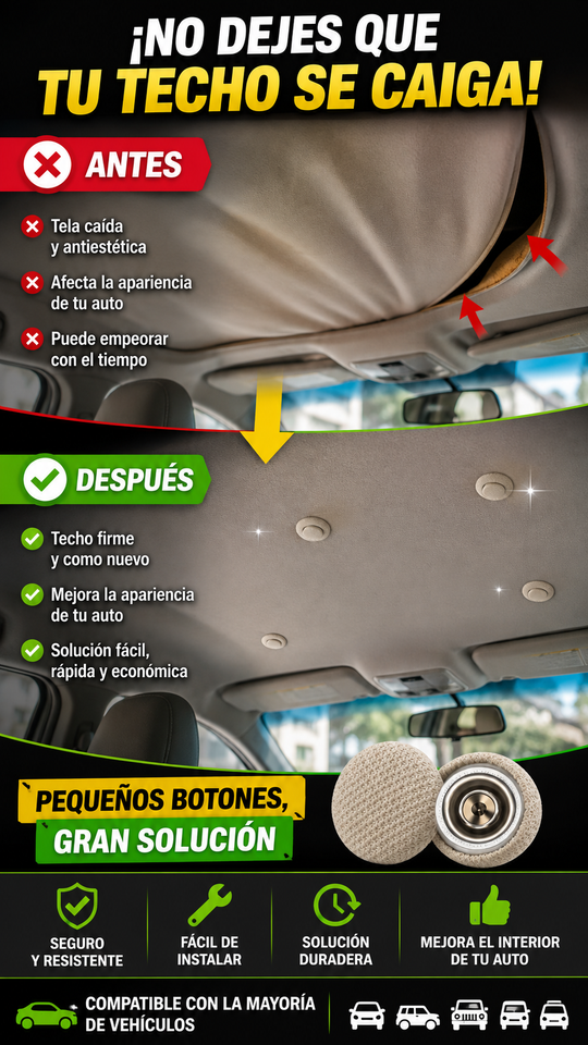 Nuevo SET de 20 Broches para Techo de Auto