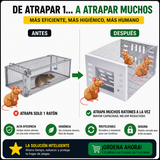 Nueva Trampa para Multiples Ratones