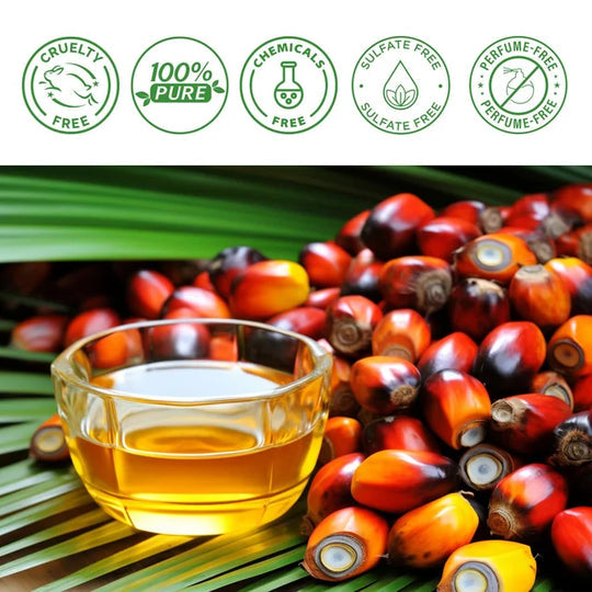 Nuevo Aceite de Botana