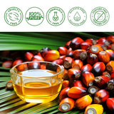 Nuevo Aceite de Botana