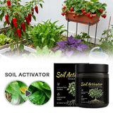 Nuevo Activador de Suelo Raíces Vivas