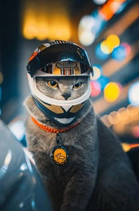 Nuevo Mini Casco para Mascotas