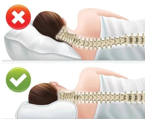 Nueva Almohada Ortopédica